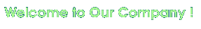 Welcome to Our Company!